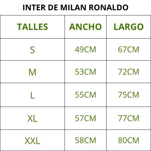 INTER DE MILAN RONALDO
