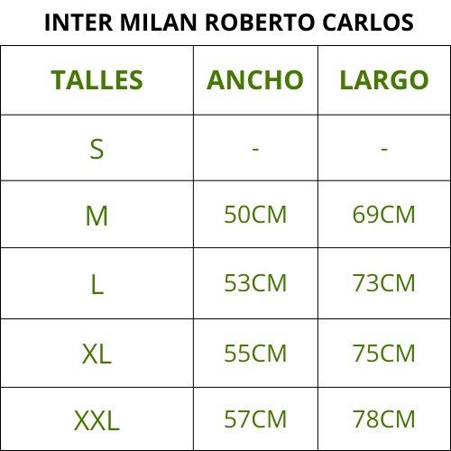 INTER MILAN ROBERTO CARLOS